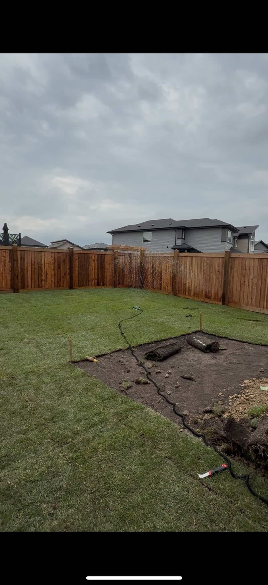 Fresh sod installation in progress